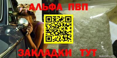 амф Гатчина