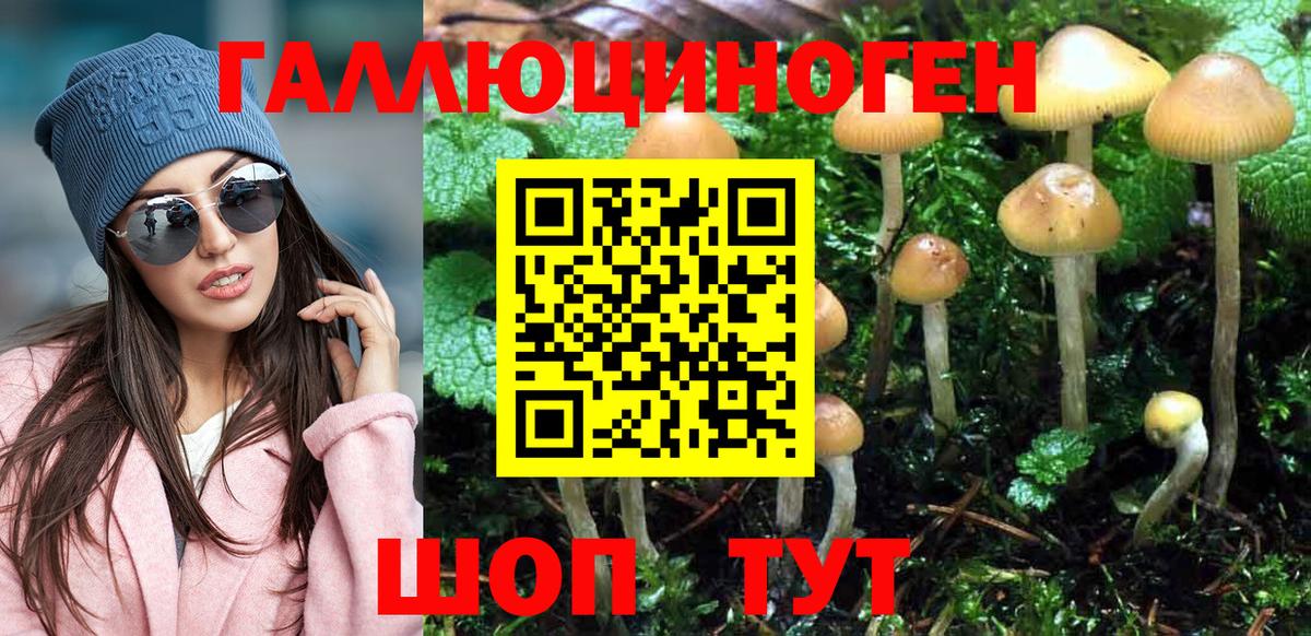Галлюциногенные грибы Cubensis Надым