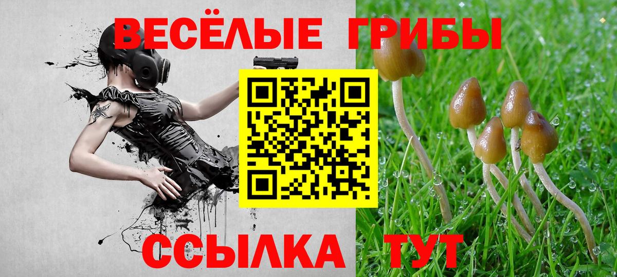 Надым  Галлюциногенные грибы Cubensis  Вход с VPN 